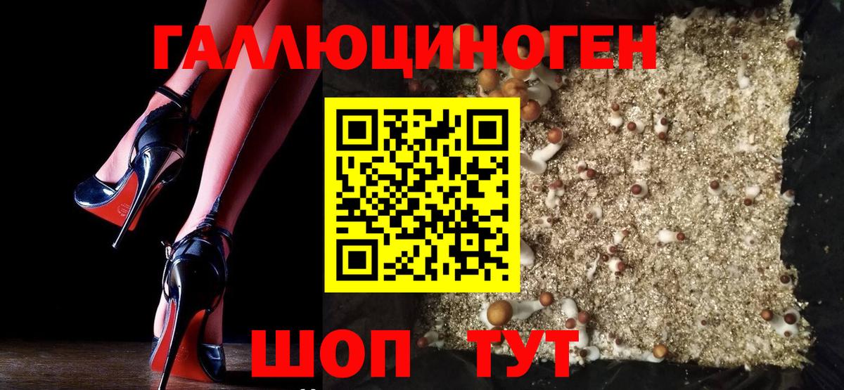 Псилоцибиновые грибы прущие грибы  Вход с VPN  Майкоп 
