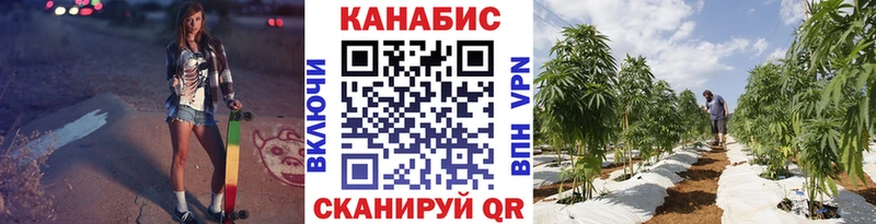 Шишки марихуана MAZAR как найти закладки Майкоп
